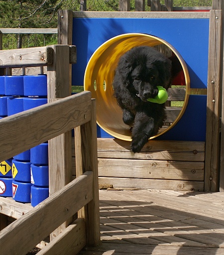 At The Playground